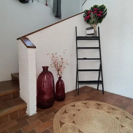 L'alliance Des Climats *